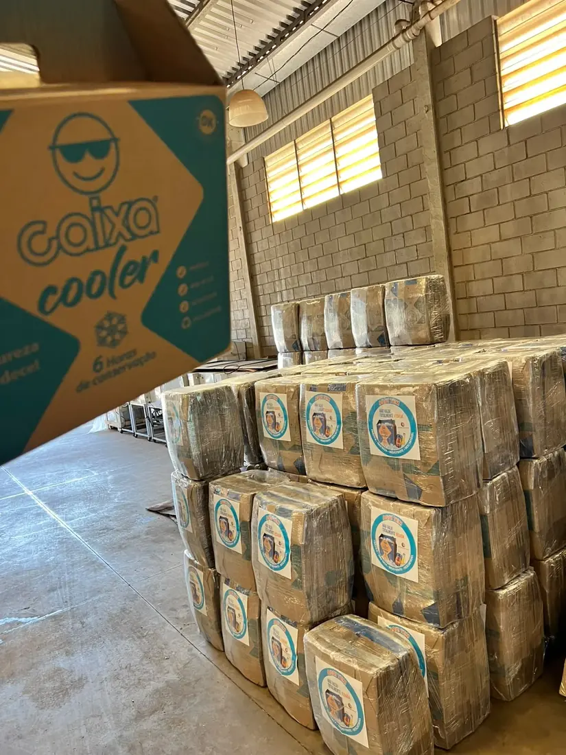Estoque de Caixas Cooler embaladas e paletizadas na fábrica